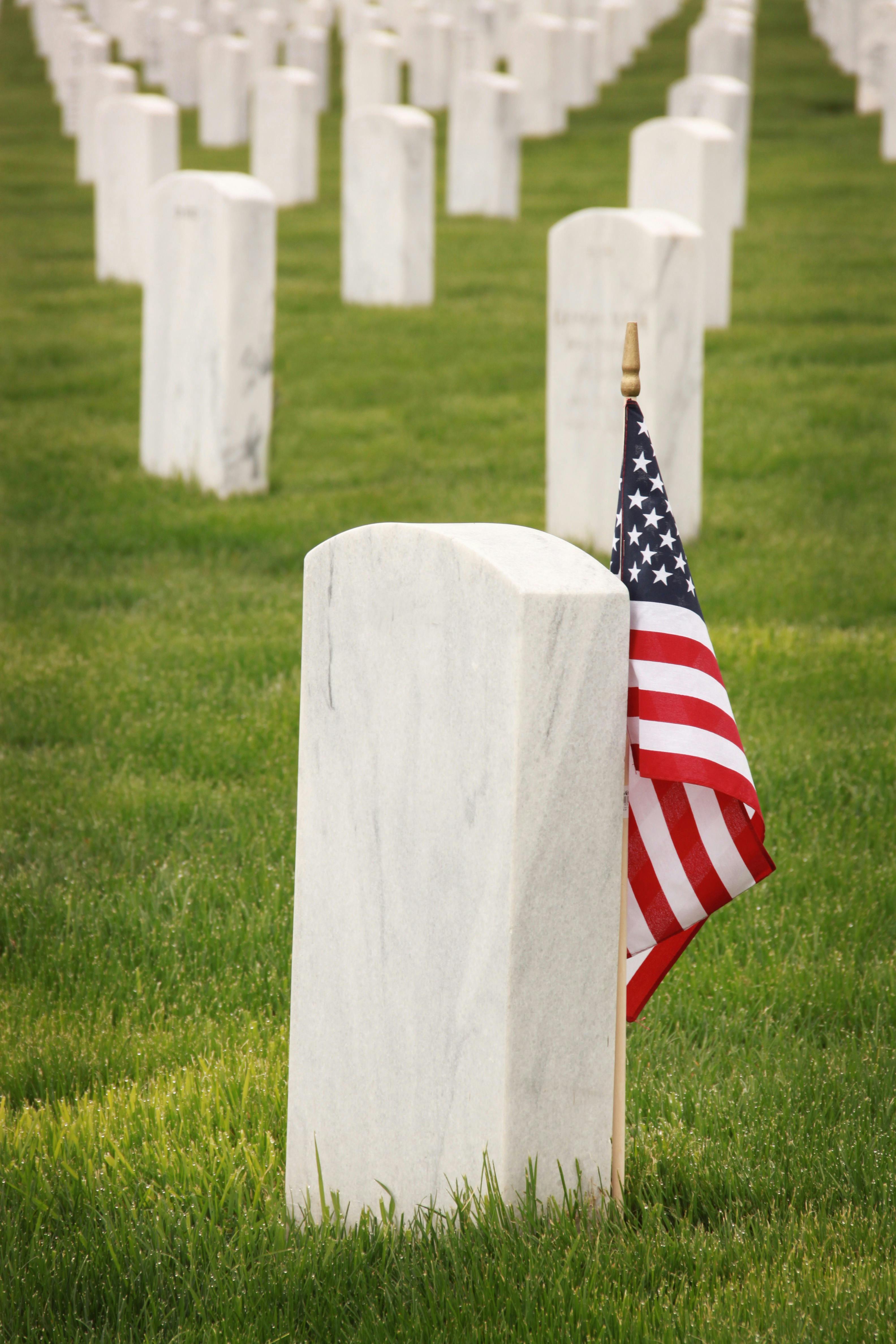 Honoring Memorial Day: Celebrating the Brave and Their Canine Companions
